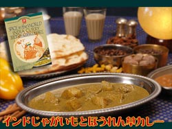インドじゃがいもとほうれん草カレー170ｇ（本格インドカレー）【レトルトカレー】化学調味料・小麦粉・肉エキス不使用！