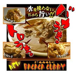 Bacaca Curry(バカカカレー)10食お試しセット（ご当地カレー）