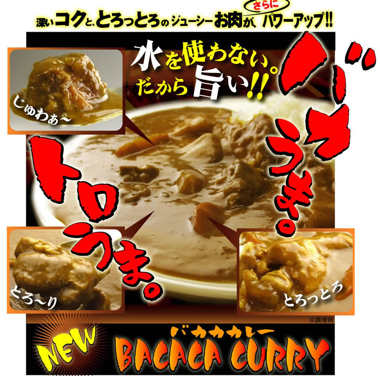 バカカカレー1