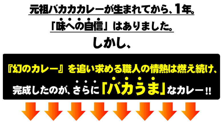 バカカカレー