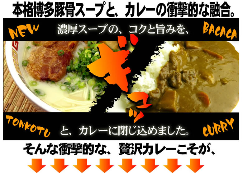 バカカカレー