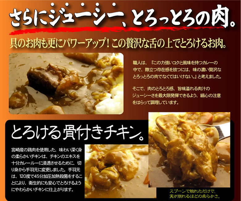 バカカカレー