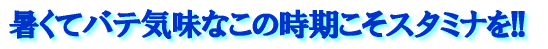 暑くてバテ気味なこの時期こそスタミナを!! 