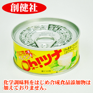 画像1: 創健社 べに花一番のオーツナ 90g（固形量70g） ツナ缶詰 (1)